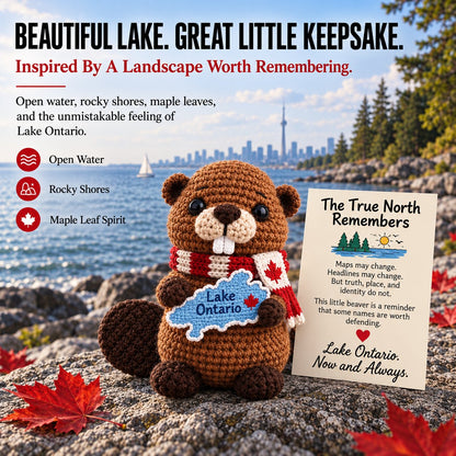 🦫 Lake Ontario Emotional Support Beaver | Canadian Crochet Keepsake with Message Card