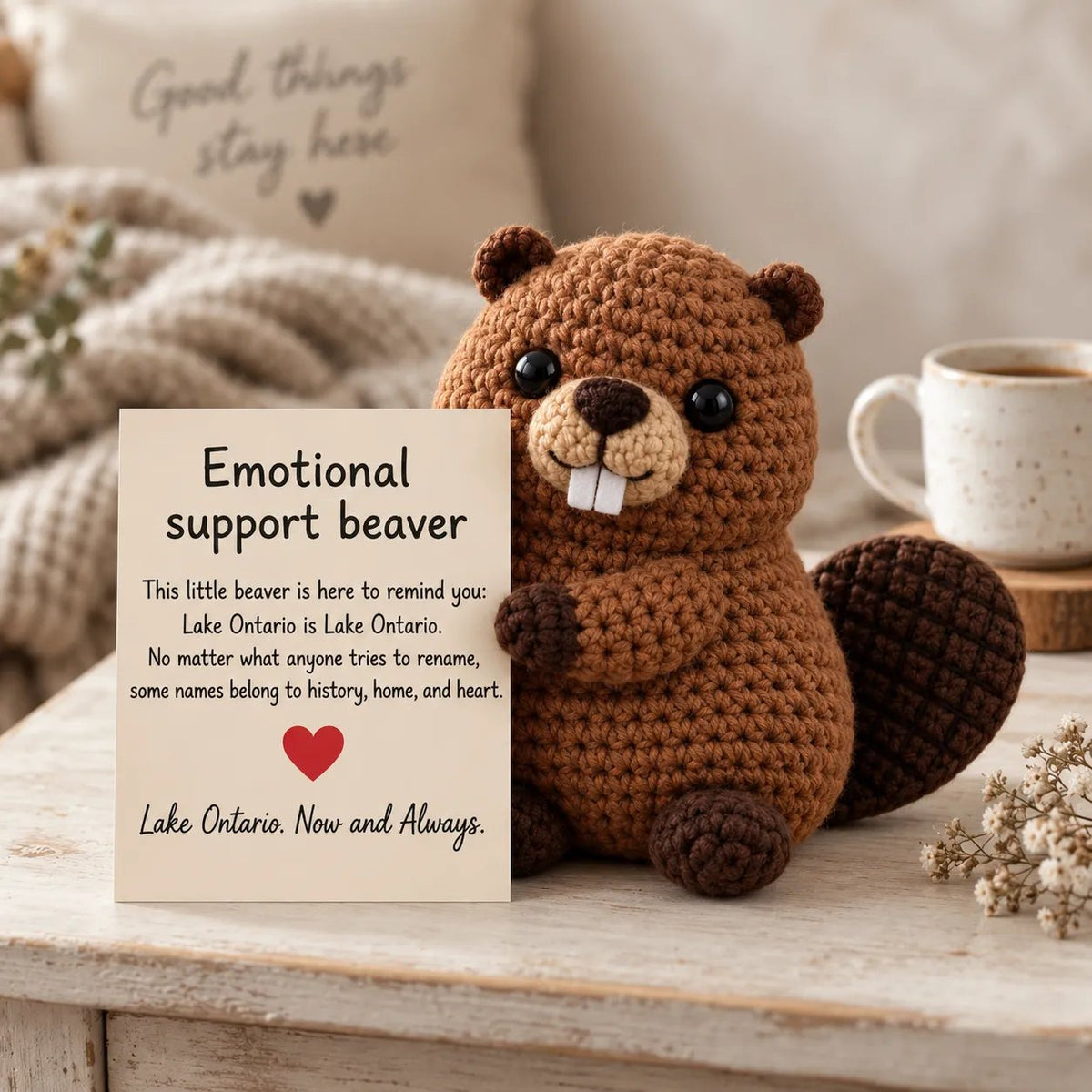 Emotional Support Beaver crochet keepsake with matching message card