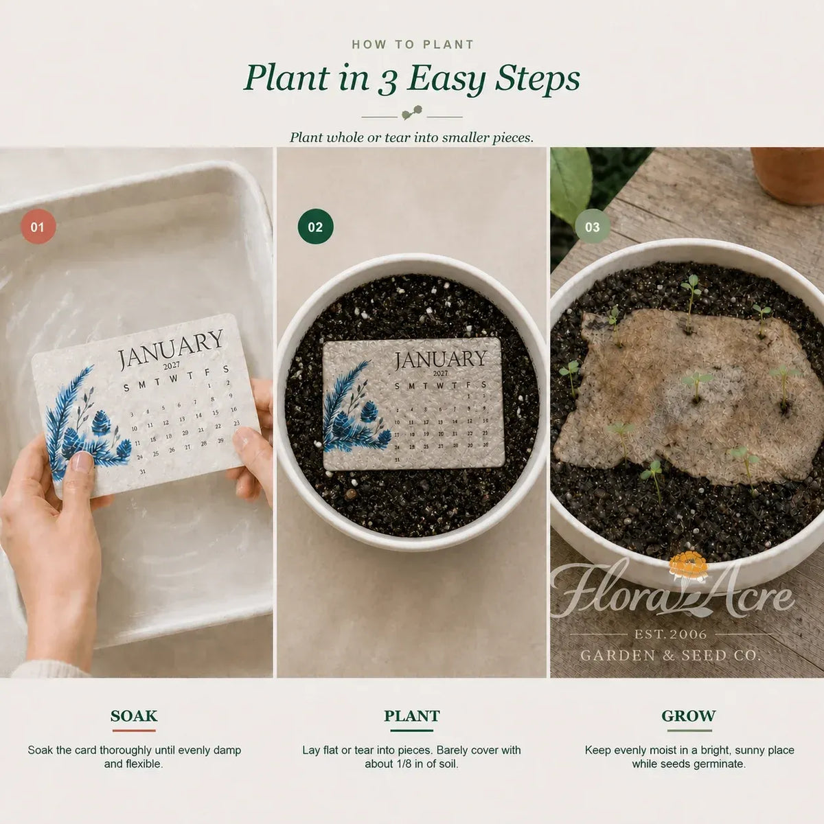 ✨Early Holiday Sale 45% OFF🌱Eco-Friendly Plantable “Timeless” Seed Calendar 2027